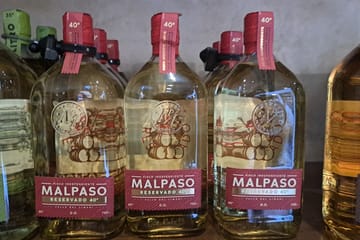 Private Wine Tour in Maipo Valley from Santiago