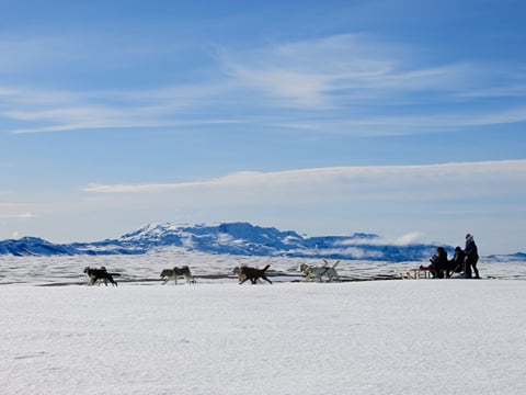 Dog Sledding Near Reykjavik , photo 19