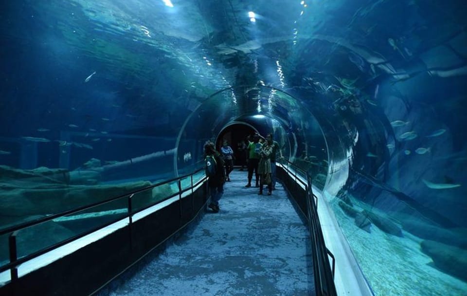 Aquario With Olympic Boulevard Rio de Janeiro