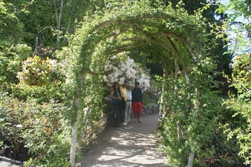 Vancouver, Victoria, Whistler 4 days Private tour