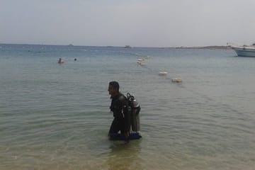 Snorkeling with Turtles at Abu Dabab Bay from Hurghada