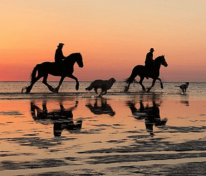 Relax and Explore Albania: A 6-Day Journey Experiences, History, Culture, and Coastal Beauty All Inclusive