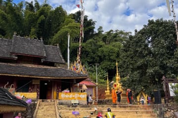 Jingmai Mountain Tour: Explore Tea Forests and Dai Villages