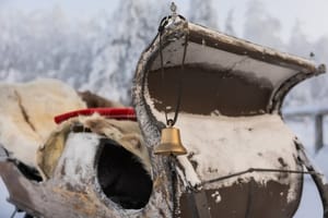 Magical Night Sleigh Ride along Santa's Paths