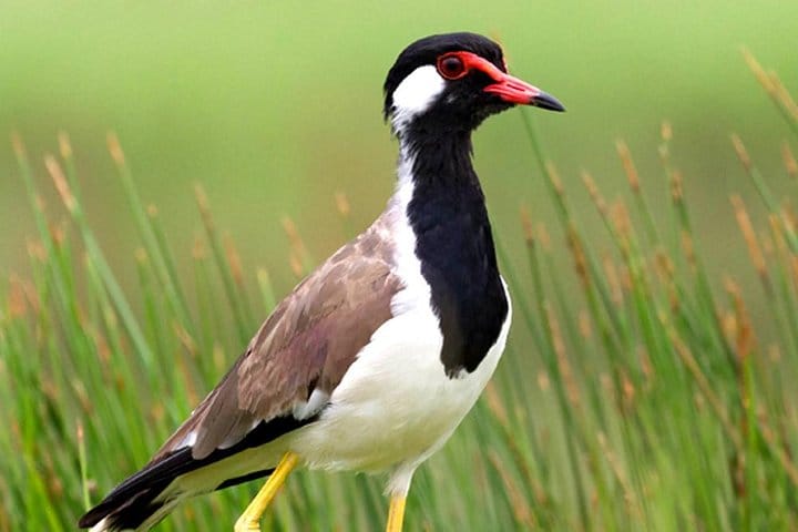 A Glimpse Of Culture 2 Nights 3 Days