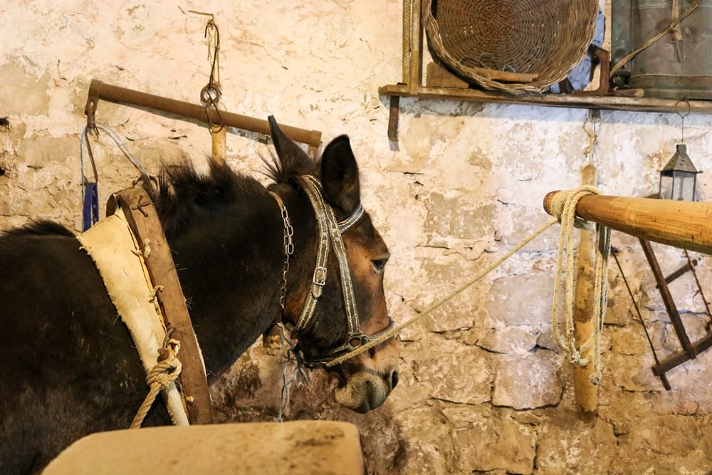 Private Taste of Dubrovnik Tour – from Dubrovnik