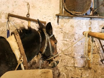Private Culinary Tour of Dubrovnik and Orašac