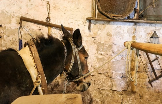 Private Taste of Dubrovnik Tour – from Dubrovnik