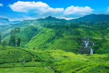 Day Trip to Horton Plains and Tea Estate in Nuwara Eliya