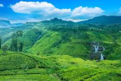 Day Trip to Horton Plains and Tea Estate in Nuwara Eliya