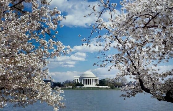 Washington D.C. Night Tour Private SUV