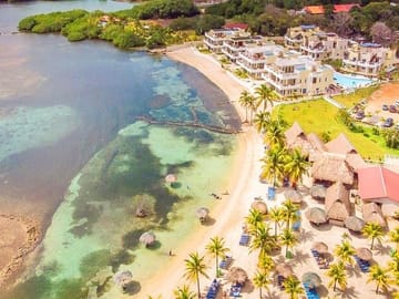 Roatan Sun & Fun, Sloths & Monkeys, Beach & Private Transfer