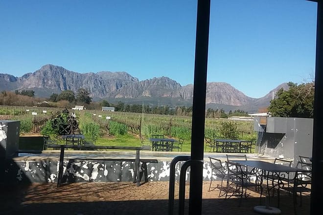 vineyard and wine tasting
