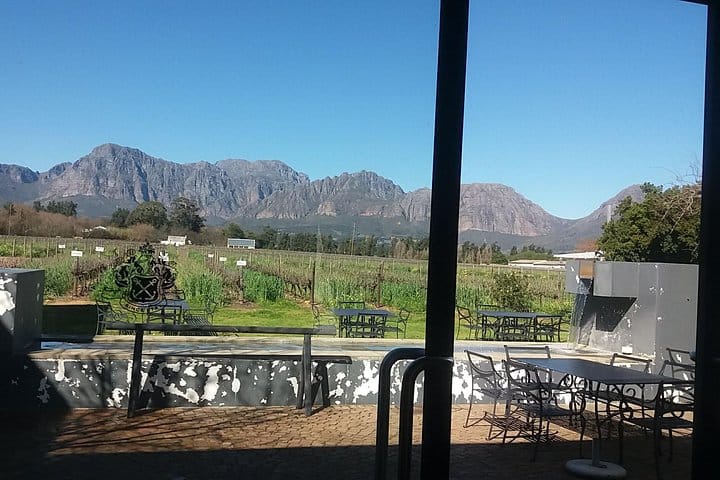 vineyard and wine tasting