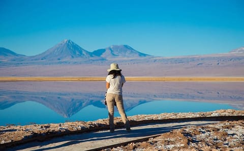 Geyser del Tatio and Cejar Lagoon Full Day Tour in Atacama