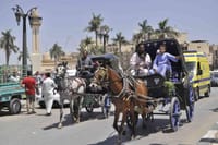City Tour By Horse Carriage One Hour in Luxor - Luxor