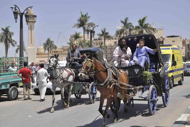 City Tour By Horse Carriage One Hour in Luxor - Luxor