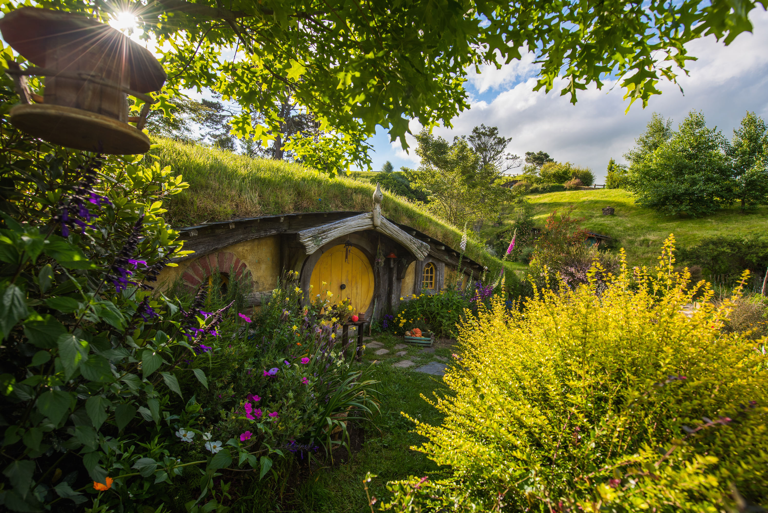 Hobbiton Movie Set Tour