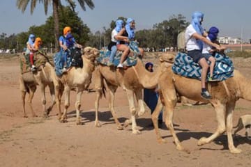 Camel Riding and BBQ Dinner at Sunset in Agadir