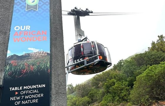 Bo Kaap Table Mountain Chapmans Peak & Penguins at Boulders Beach