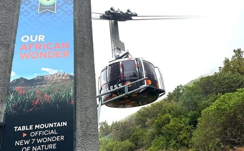 Cape Town Half-Day Tour: Bo-Kaap, Chapman's Peak & Penguins