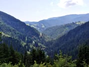 Gela Tours & Activities 2