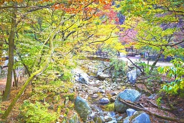 Private Bukhansan Mountain Hiking Tour with Korean Sauna