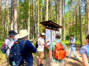 Magical Taiga Forest Hike 3