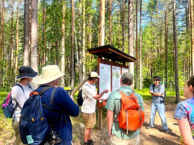 Magical Taiga Forest Hike photo 3