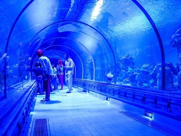 2-Hour Red Sea Marine Life Experience at Hurghada Grand Aquarium