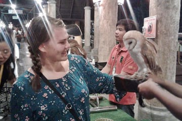 Chiang Mai Night Safari Tour with Transfer Included