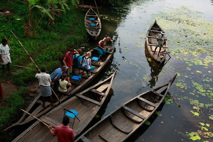Backwater Bliss: Alleppey Day Cruise with Lunch