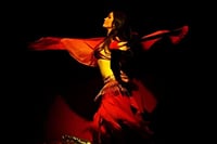 Hurghada : Egyptian Nights Live Cabaret, Dance, Live Show 9