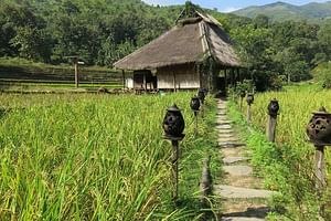 Elephant Trail Expedition from Luang Prabang