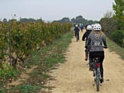 ROUTE ON BIKE AND WINE TASTING 2