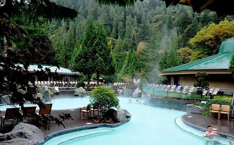 Private Day Trip to Harrison Hot Springs with Spa Access