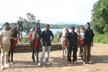 4-Hour Guided Horse Riding Tour in Nuwara Eliya