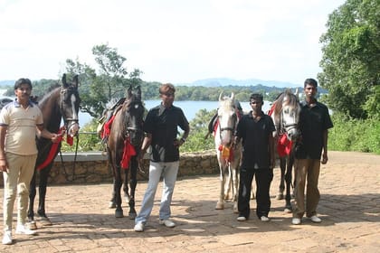 4-Hour Horse Riding in Nuwara Eliya