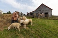 Cape Breton Highland Village & Bell Museum Baddeck Small group 6 6