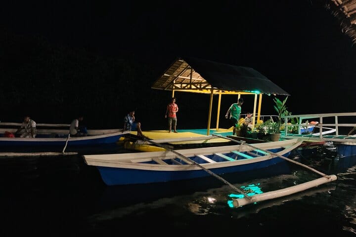 Puerto Princesa Jungle River Firefly Watching