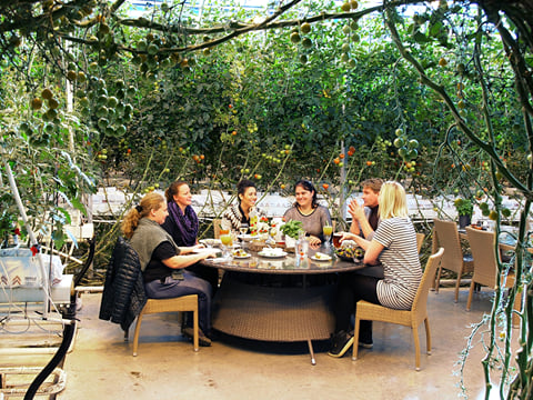 Private Gourmet Golden Circle Tour, photo 12