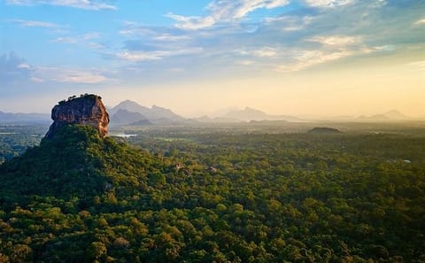 11 Days Tour Of Taprobane