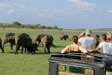 8-Day All-Inclusive Cultural Tour of Sri Lanka's Highlights