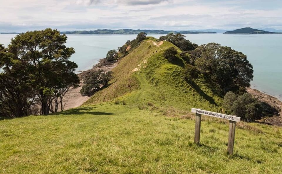 Duder Regional Park Full-Day Walking Tour in Clevedon