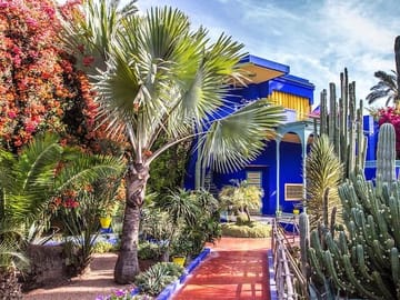 Majorelle Garden and Yves Saint Laurent Museum Tour in Marrakech
