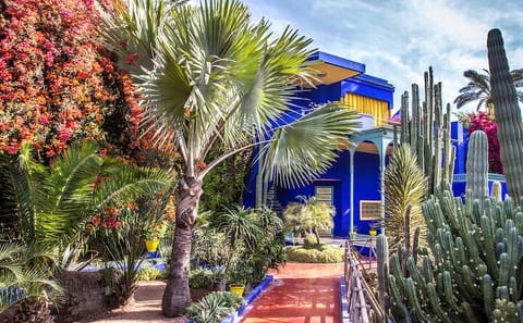 Majorelle Garden and Yves Saint Laurent Museum Tour in Marrakech