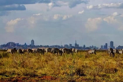 Full Day Nairobi National Park,Karen Blixen & Bomas Of Kenya