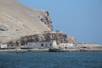 Islands of Lima Boat Tour