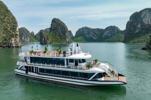 Cozy Bay Halong Day Trip, 5 Star Cruise from Tuan Chau Harbor