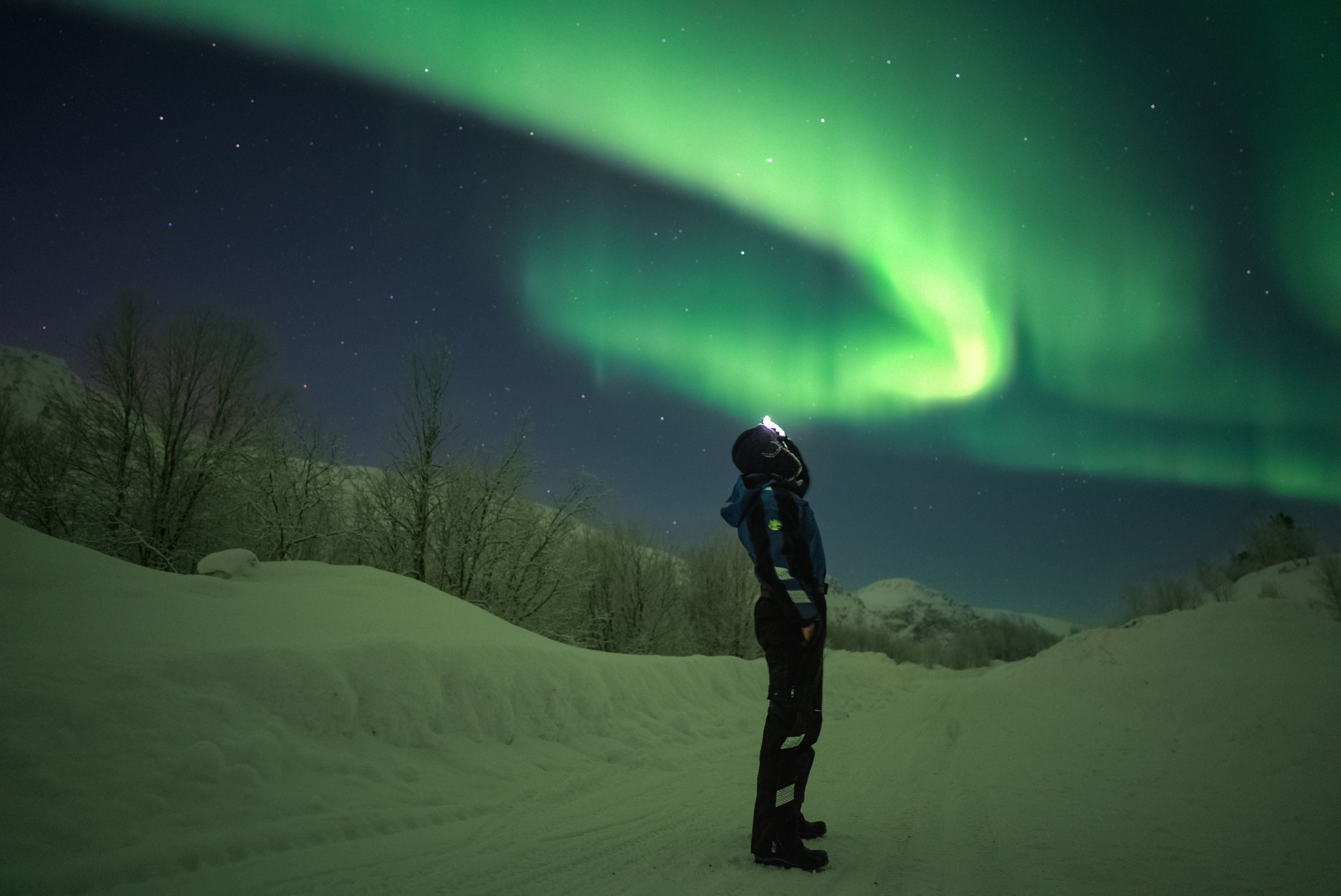 Traveler wearing a thermal suit standing in deep snow looking up at a sweeping green Northern Lights arc on a private Tromsø tour.